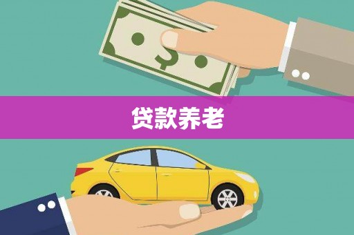 琼结贷款养老
