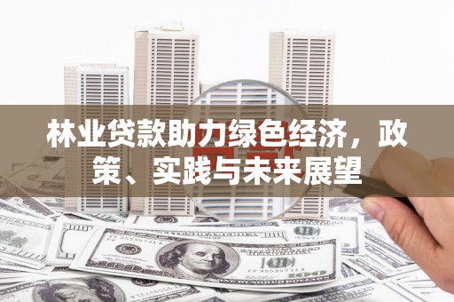 琼结林业贷款助力绿色经济，政策、实践与未来展望