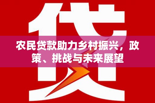 琼结农民贷款助力乡村振兴，政策、挑战与未来展望