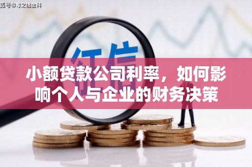 琼结小额贷款公司利率，如何影响个人与企业的财务决策