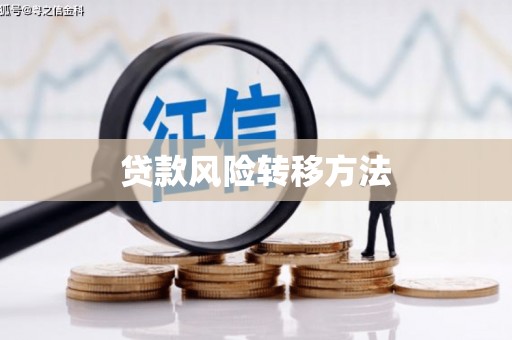 琼结贷款风险转移方法
