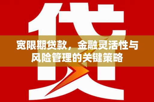 琼结宽限期贷款，金融灵活性与风险管理的关键策略