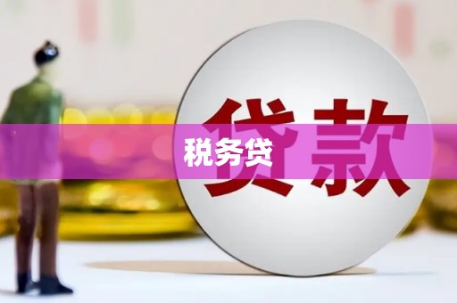琼结税务贷