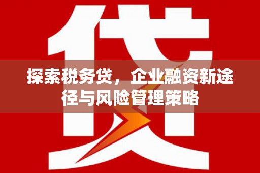 琼结探索税务贷，企业融资新途径与风险管理策略