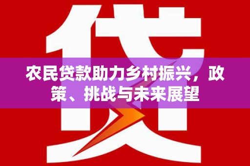琼结农民贷款助力乡村振兴，政策、挑战与未来展望