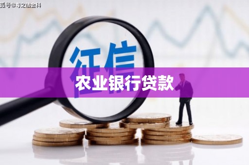 琼结农业银行贷款