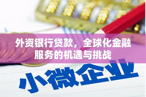琼结外资银行贷款，全球化金融服务的机遇与挑战