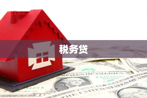 琼结税务贷