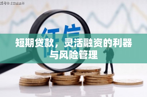 琼结短期贷款，灵活融资的利器与风险管理