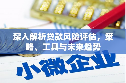 琼结深入解析贷款风险评估，策略、工具与未来趋势