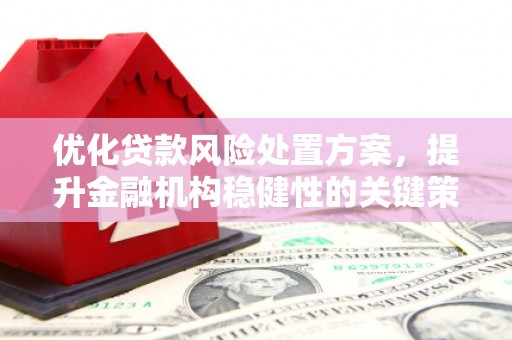 琼结优化贷款风险处置方案，提升金融机构稳健性的关键策略