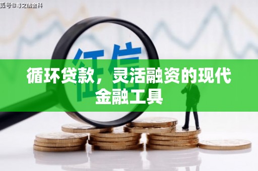 琼结循环贷款，灵活融资的现代金融工具