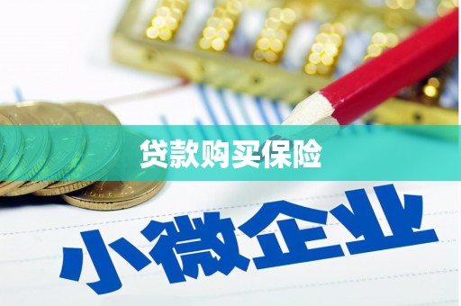 琼结贷款购买保险