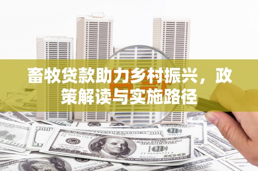 琼结畜牧贷款助力乡村振兴，政策解读与实施路径