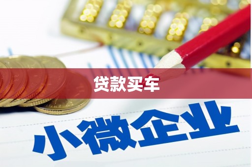 琼结贷款买车