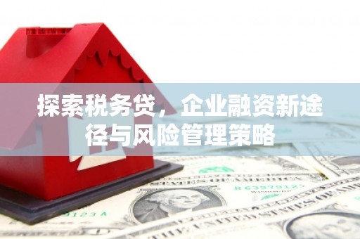 琼结探索税务贷，企业融资新途径与风险管理策略