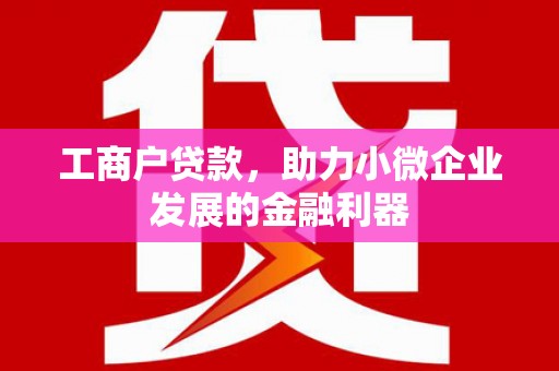 琼结工商户贷款，助力小微企业发展的金融利器