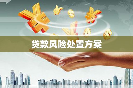 琼结贷款风险处置方案
