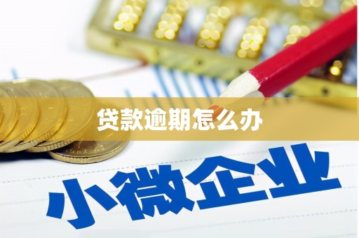 琼结贷款逾期怎么办