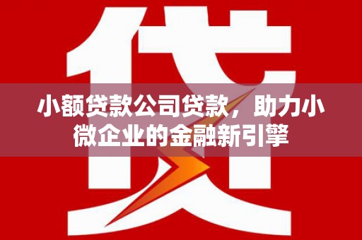 琼结小额贷款公司贷款，助力小微企业的金融新引擎