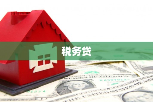 琼结税务贷