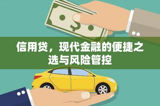 琼结信用贷，现代金融的便捷之选与风险管控