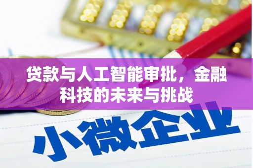 琼结贷款与人工智能审批，金融科技的未来与挑战