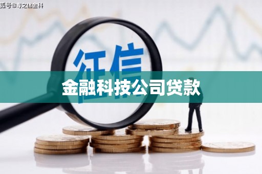 琼结金融科技公司贷款