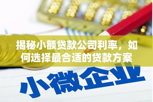 琼结揭秘小额贷款公司利率，如何选择最合适的贷款方案