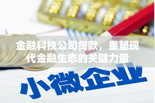 琼结金融科技公司贷款，重塑现代金融生态的关键力量