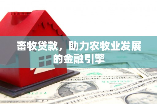 琼结畜牧贷款，助力农牧业发展的金融引擎