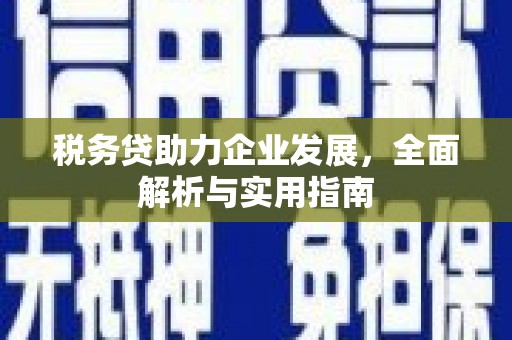 琼结税务贷助力企业发展，全面解析与实用指南