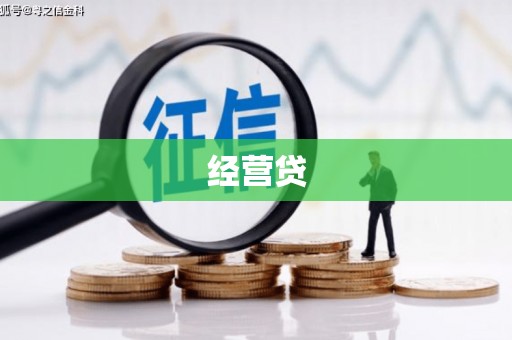 琼结经营贷