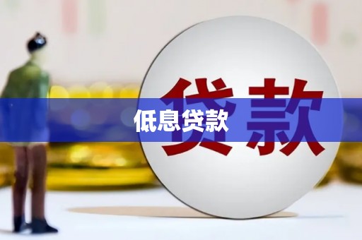 琼结低息贷款