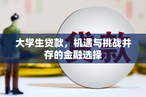 琼结大学生贷款，机遇与挑战并存的金融选择