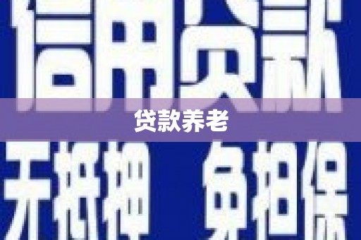 琼结贷款养老