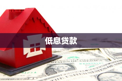 琼结低息贷款