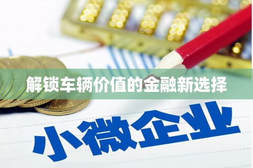 琼结解锁车辆价值的金融新选择