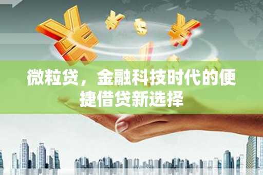 琼结微粒贷，金融科技时代的便捷借贷新选择
