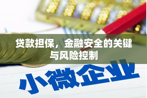琼结贷款担保，金融安全的关键与风险控制