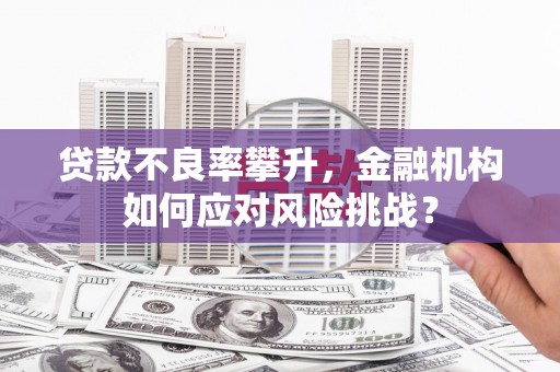 琼结贷款不良率攀升，金融机构如何应对风险挑战？