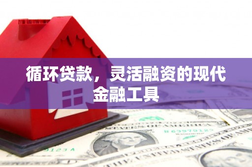 琼结循环贷款，灵活融资的现代金融工具