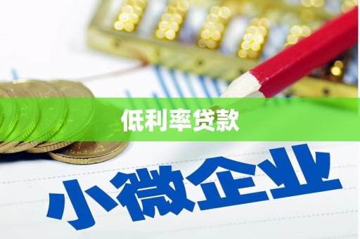 琼结低利率贷款