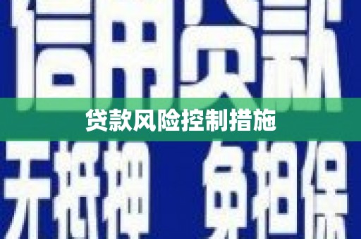 琼结贷款风险控制措施