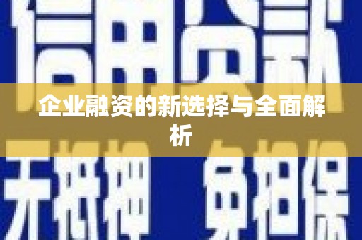 琼结企业融资的新选择与全面解析