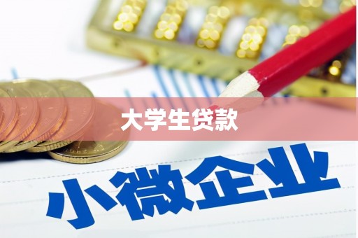 琼结大学生贷款