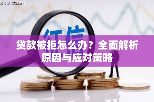琼结贷款被拒怎么办？全面解析原因与应对策略