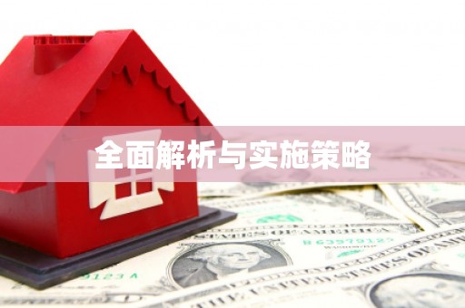 琼结全面解析与实施策略