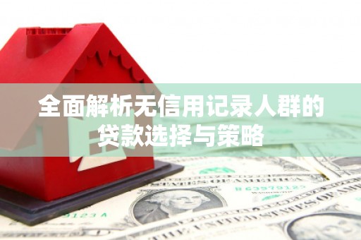 琼结全面解析无信用记录人群的贷款选择与策略