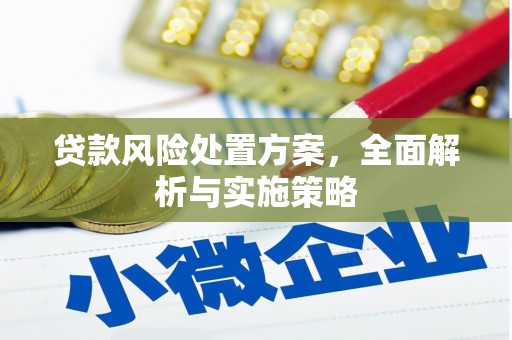 琼结贷款风险处置方案，全面解析与实施策略